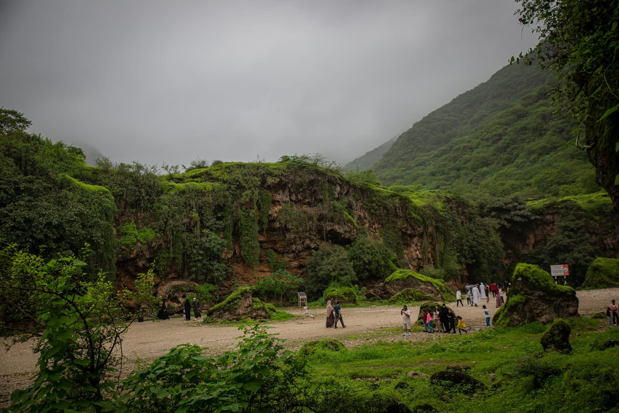 Green hills and a misty valley near Salalah during the khareef season